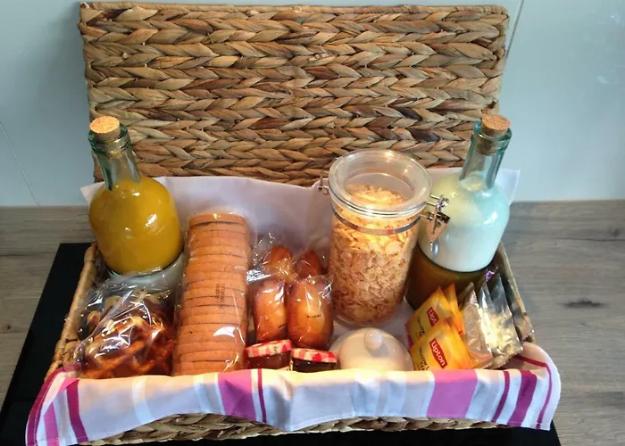 Appartement - Rochegude Albi